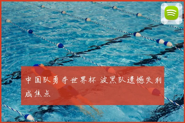 中国队勇夺世界杯 波黑队遗憾失利成焦点