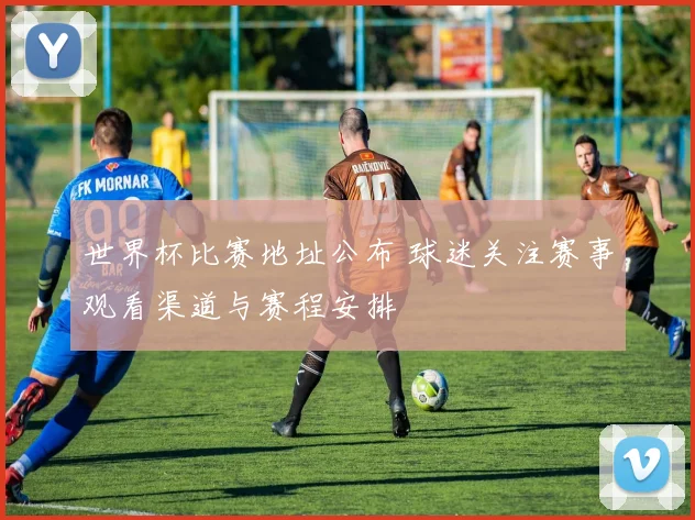 世界杯比赛地址公布 球迷关注赛事观看渠道与赛程安排