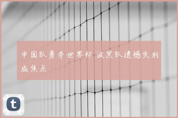 中国队勇夺世界杯 波黑队遗憾失利成焦点