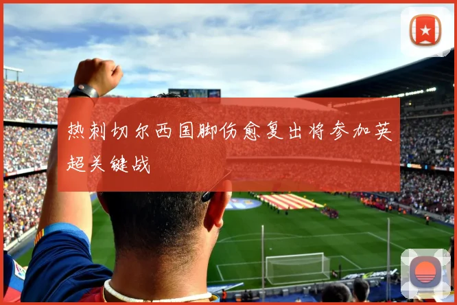 热刺切尔西国脚伤愈复出将参加英超关键战